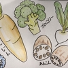 趣味活動のすゝめ㉒塗り絵⑤
