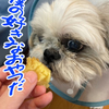 もっくんのおやつは焼き芋