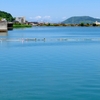 奈良須池（香川県高松）