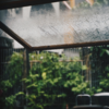長い長い梅雨の影響
