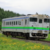 花畑を往く、北海道色のキハ40を撮る！