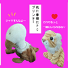 亭主元気で留守がいい