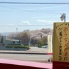 富岡も桜が見ごろです！！//富岡バイパス店