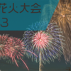 大垣花火大会を見てきました。ミラーレスとアクションカメラの実力はいかに。