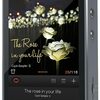 【レビュー】Cayin N5ii 中華DAPの真実
