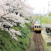 桜の開花　琴電挿頭丘駅で