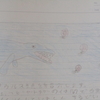 恐竜ではない生き物３　恐竜解説２