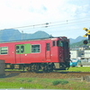 兵庫県とのみね高原へハイキング！