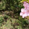 一人ひとりの「その日」