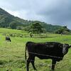 ●群馬県高山高原のたかやま高原牛乳