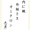 内に桃外桜さきオミクロン