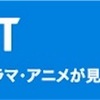 解剖学　理学療法士・作業療法士　国家試験問題　解説