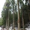 【廃墟】2012.12/30＿滋賀の廃村に挑む・前編（市三宅田川橋梁、砂山池揚水機場）