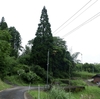 本宮山リベンジ