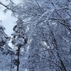 蓼科は今朝も雪景色