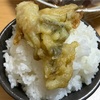 釣って食べるハゼ天丼