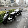 3月の終わりがとても寒い