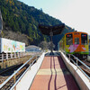 #4045　樽見（2024.12.2）