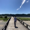『なるべく怠けないで、気を抜かないで生きていこう。さもなければ、転落は簡単にしてしまう』