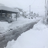 雪道　もちろん走ります