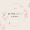 7日目アップデート（最終日）