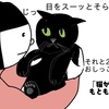 (昔話)「目を合わせない猫」(「ブンジの物語」連載第10回目)