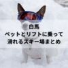 白馬でペットと一緒にリフト乗車ができて滑れるスキー場まとめ