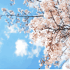 今が春