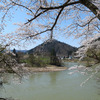 今年も置賜に桜を見に行った2017