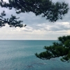 白波の浜松の木の手向草･･･巻第9-1716