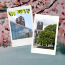 京都大学合格への道