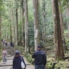 【熊野古道】世界遺産・熊野三社を巡る日帰りバスツアーに参加【大阪発】