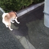 連休最終日、だよ