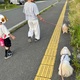 お姉ちゃん達とお散歩