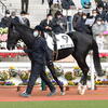 愛馬観戦記（モデュロール、トラモント、アンサンブル、バスラットレオン）