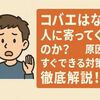 コバエはなぜ人に寄ってくるのか？原因とすぐできる対策を徹底解説！