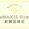 新興国株式ファンド　eMAXIS Slimの中身とは？