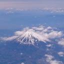 フランキーさんのANAマイル　とか 株主優待とか