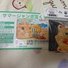 万馬券を当てる気の次男と宝くじで億を当てる気の私。どちらが先に当たるのか?（笑
