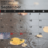 5連休が終わってしまった…。雨また雨の9月の嘆き
