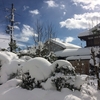 大雪で大変な一週間