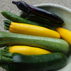 夏野菜の収穫
