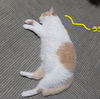 お盆ですから