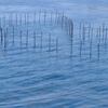 琵琶湖大橋から見た湖面
