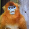 バイクで訪園館：熊本市動植物園