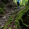 梅雨合間の加持ヶ峰遊山　山法師