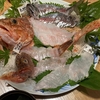 雑感　Vol.243　～糸魚川　釣り旅行～