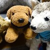 2025年12月10日（水）　ズートピア と アンネ・ゾフィー