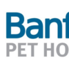 アメリカの動物病院受診(Banfield Pet Hospital)~猫を連れて行きました