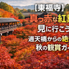 【東福寺】真っ赤な紅葉を見に行こう！通天橋からの絶景と秋の観賞ガイド